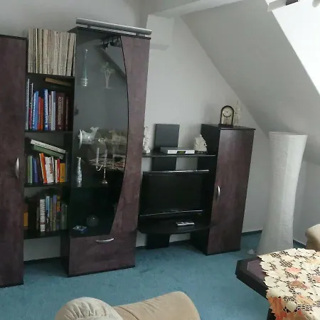 Schweizer 科斯维格