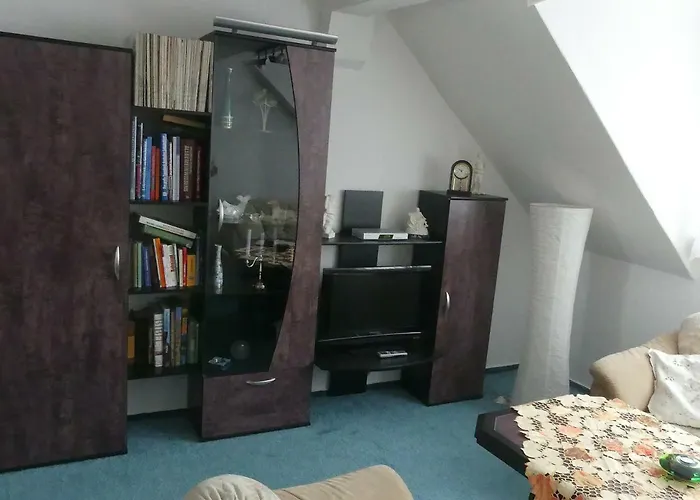 Schweizer コスヴィッヒ